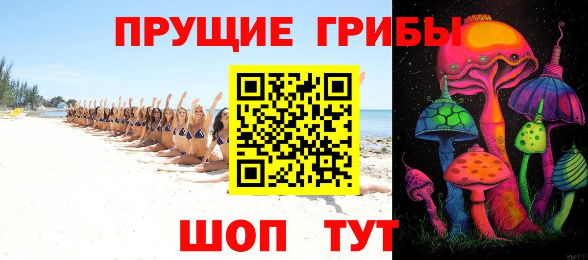Галлюциногенные грибы Cubensis Фурманов
