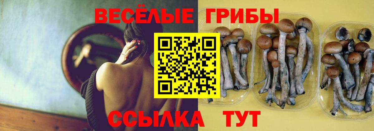 Псилоцибиновые грибы MAGIC MUSHROOMS  Галлюциногенные грибы Magic Shrooms  Вход с VPN  Фурманов 